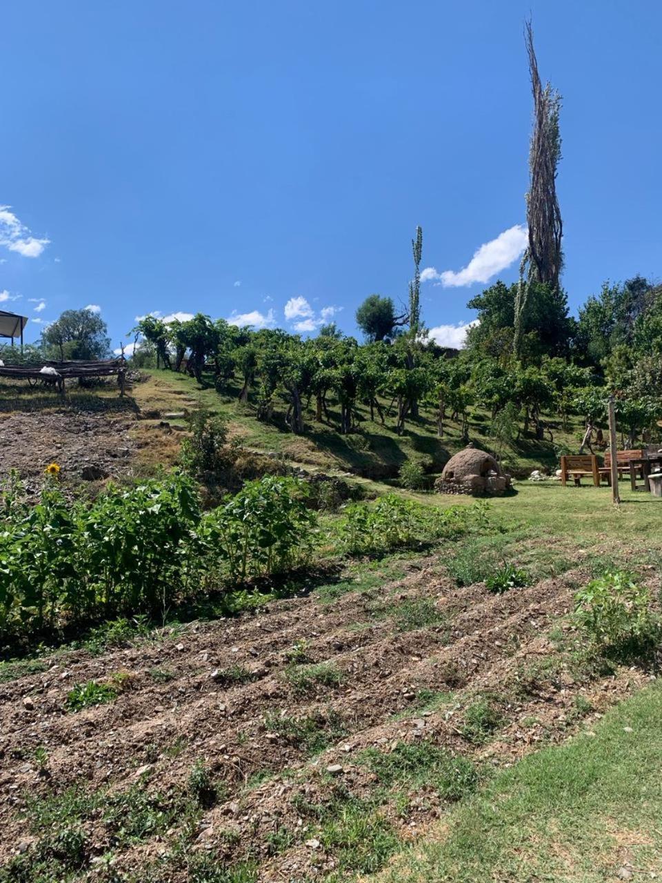 Cabana Cortaderas Mi Campito Cachi Salta Exterior foto